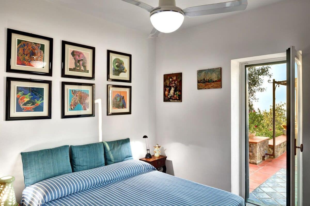 Fondo Turiello Villa Gardens Pool And Guest Services Sant'Agata sui due Golfi Exterior photo